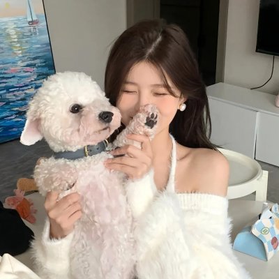 四片羽毛